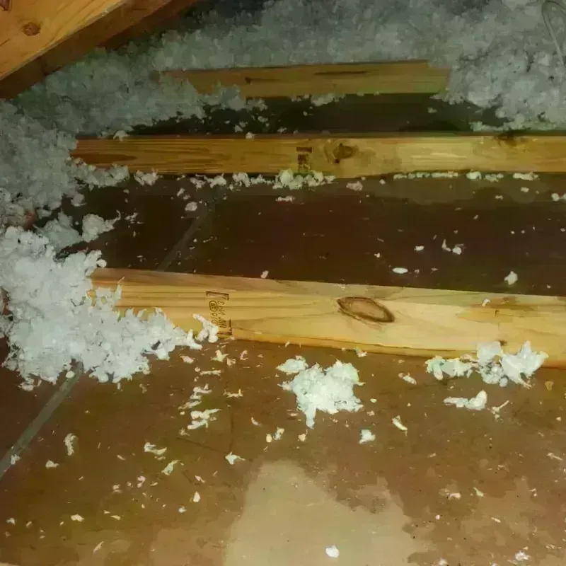 Attic Water Damage in Augusta, WI