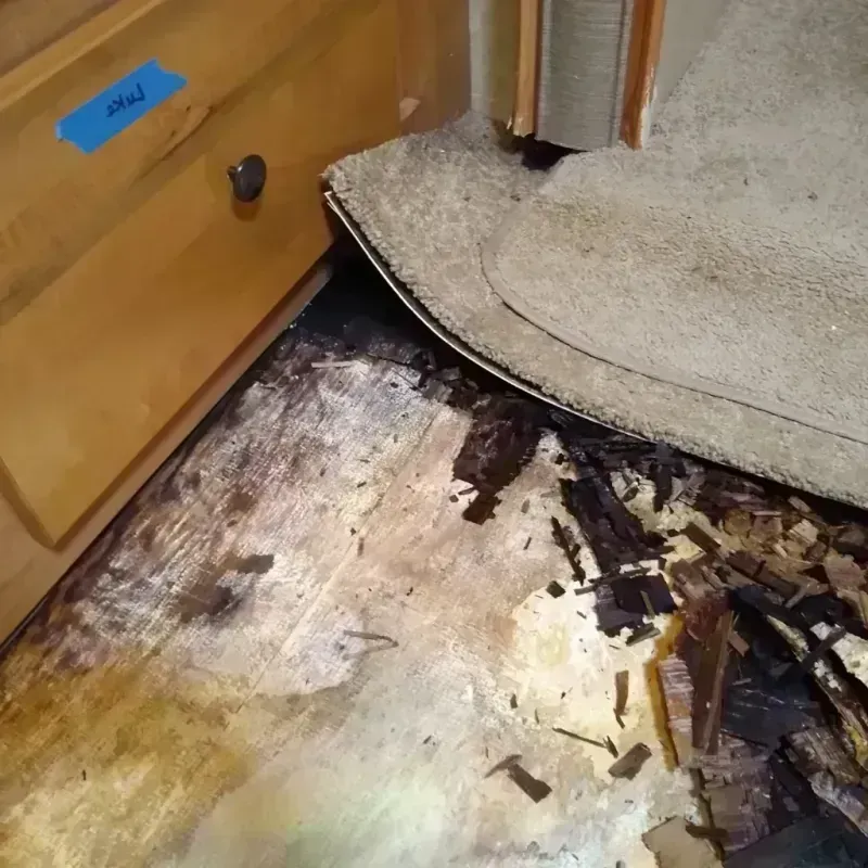 Wood Floor Water Damage in Augusta, WI